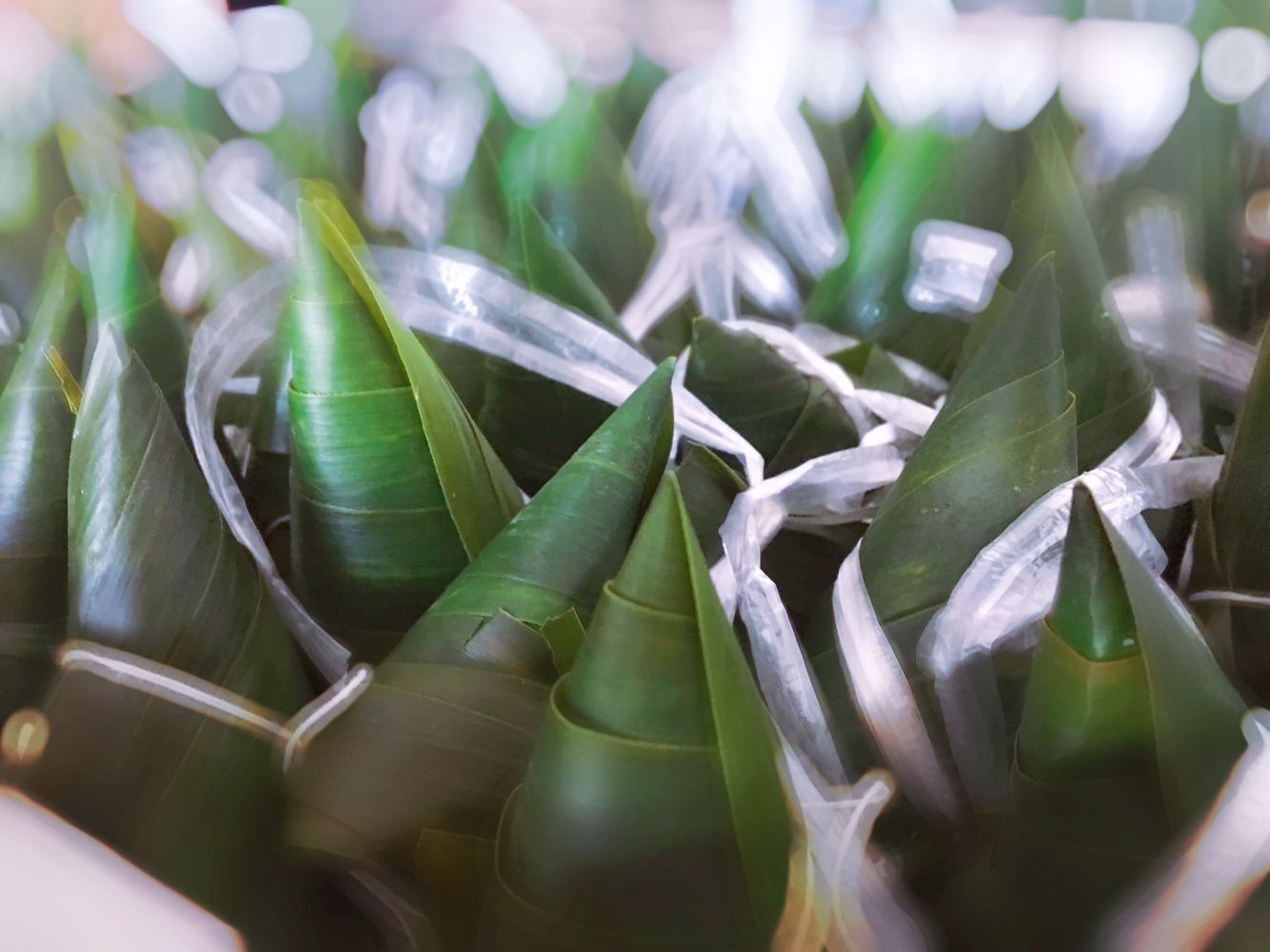 优德88·(中国区)官方网站