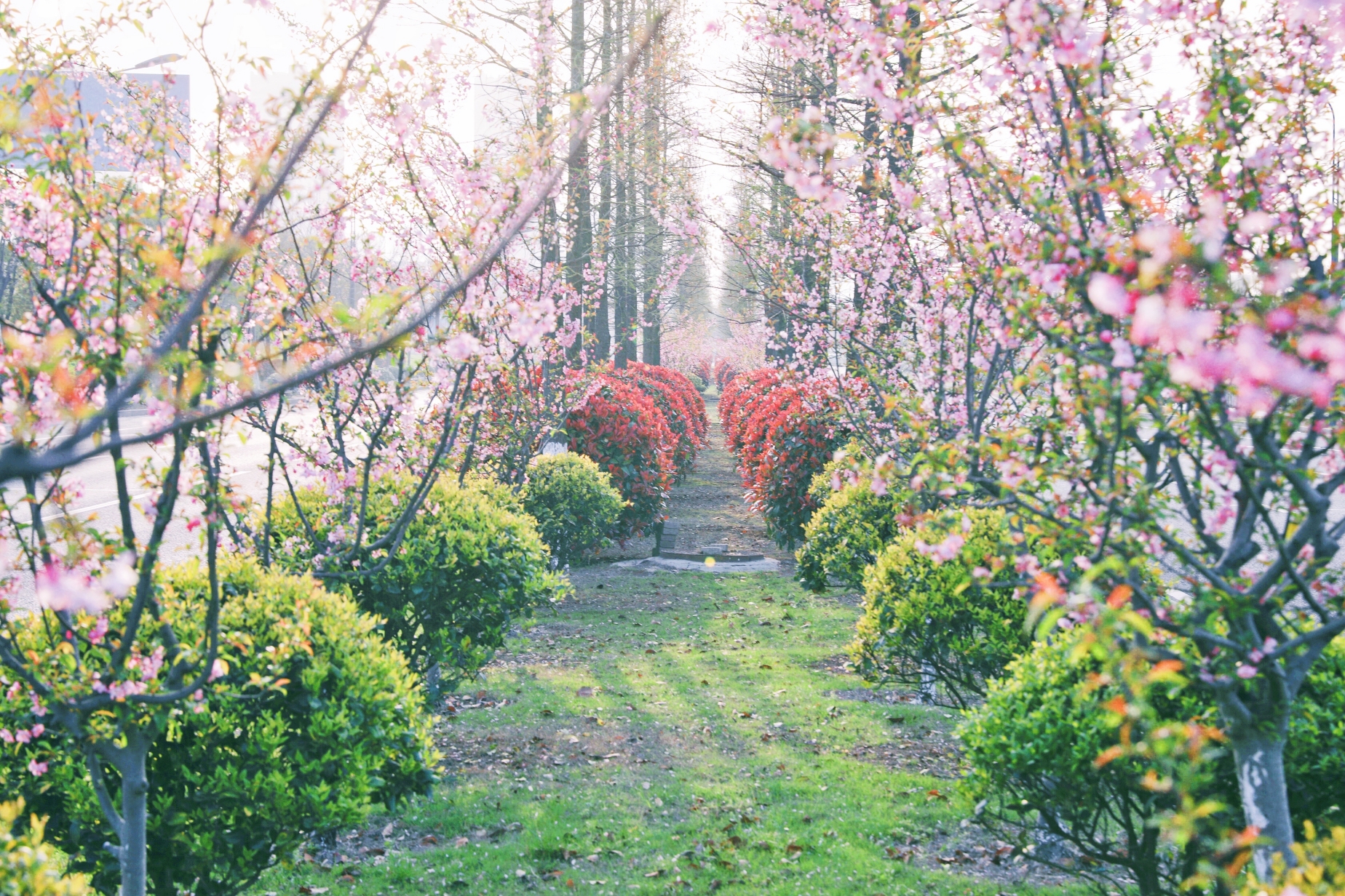 优德88·(中国区)官方网站